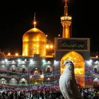 تور ریلی مشهد)- اقساطی ویژه آبان