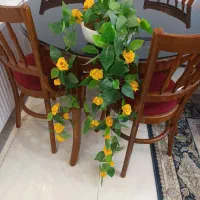 گل مصنوعی|گل مصنوعی|خمینیشهر, |دیوار