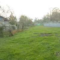 فروش زمین و خونه کلنگی|فروش زمین و ملک کلنگی|پره‌سر, |دیوار