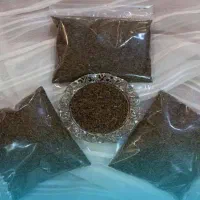 زیره سیاه کوهی هزار مسجد