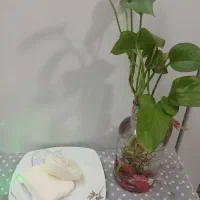 پنیرمحلی|خوردنی و آشامیدنی|قم, کلهری|دیوار