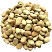 باقالی / باقالا خشک  ۱۷۹/۰۰۰           لپه باقالا