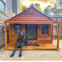 خانه سگ گربه پرنده