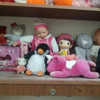 عروسک|اسباببازی بچه|قم, چهار مردان|دیوار