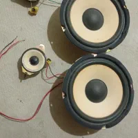 دو عدد باند با صدای وحشتناک