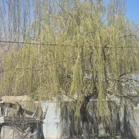 زمین-کشاورزی
