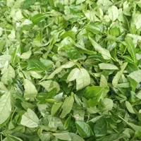 چای خشک کارگاهی