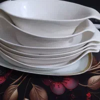 ظروف پذیرایی