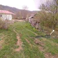 ۲۰۰متر زمین مسکونی دیلمان|فروش زمین و ملک کلنگی|دیلمان, |دیوار