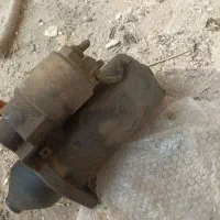 پرنده|پرنده|سوسنگرد, |دیوار