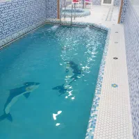 ویلا ساحلی استخر دار تا ساحل ۵۰۰ متر درویش آباد