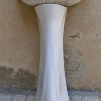 روشوئی