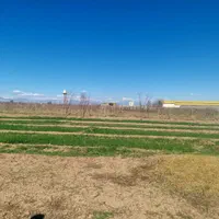 فروش ۱ هکتار در باغستان کهک تاکستان|فروش دفتر صنعتی، کشاورزی، تجاری|کرج, باغستان|دیوار