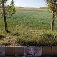 زمین-ترمینال