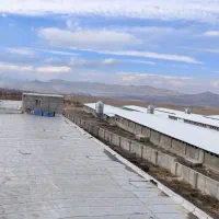 مرغداری مادر گوشتی ۴۷۵۰۰ قطعه ای