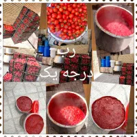 رب گوجه خانگی