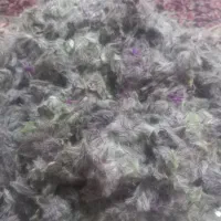 چای کوهی وآویشن تازه وتمیز