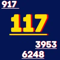 917.117.3953