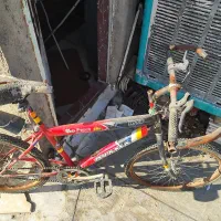 دوچرخه|دوچرخه، اسکیت، اسکوتر|کنگاور, |دیوار