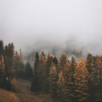 تایپ ورد و پاورپوینت