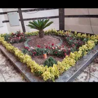 خدمات باغبانی سمپاشی هرسکاری سم سوسک سراسر تهران|خدمات باغبانی و درختکاری|تهران, تجریش|دیوار