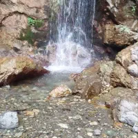 نظافت و خدمات ساختمان