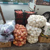 پخش تره بار رستوران و کبابی ها