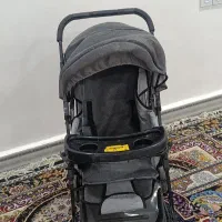 کالسکه دلیجان|کالسکه و لوازم جانبی|اهواز, کمپلو جنوبی|دیوار