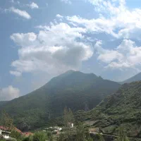 ۵۱۹ متر زیارت داخل بافت