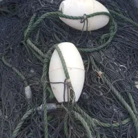 ۱۳عددتور سوس