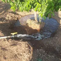 باغ ۴ ساله در منطقه کوهستانی و باصفای زرشک|فروش زمین و ملک کلنگی|قزوین, |دیوار