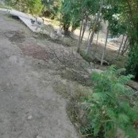 حیوانات|حیوانات مزرعه|نیشابور, ۲۲ بهمن|دیوار