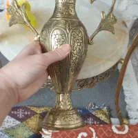 ماهی ررنزو گلدون