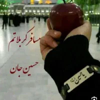 کربلا ویژه تولد امام حسن علیه السلام