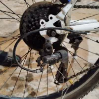 دوچرخه|دوچرخه، اسکیت، اسکوتر|نمین, |دیوار