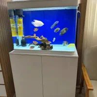 اکواریوم با پایه ام دی اف