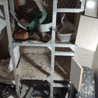 جفتگاه قفس چوبی