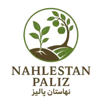 نهال فروشی بادام و گردو دیرگل