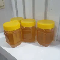 عسل بهاره و اصل از کوه های اسفراین|خوردنی و آشامیدنی|نیشابور, شهرک قدس|دیوار