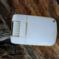 اپی لیدی بران