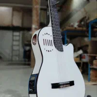 گیتار طرح گودین جزیی و کلی