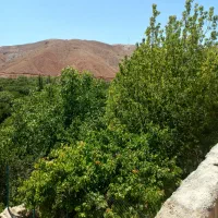 زمین فروشی جنوبی نماز ۱/۱ ۲۵۰متری