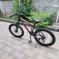 دوچرخه اسکورت دیسکی سایز ۲۴