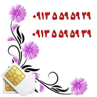0913.428.7004|سیم‌کارت|اصفهان, تیران|دیوار