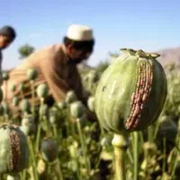 بهبود ترک اعتیاد سنتی وصنعتی|خدمات آرایشگری و زیبایی|گلستان (تهران), |دیوار