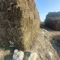 پرس بادام ۱۶۰ت