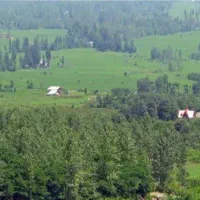 زمین باغی در خرفکل|فروش زمین و ملک کلنگی|احمدسرگوراب, |دیوار