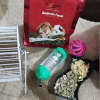 همستر