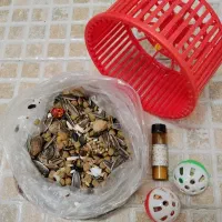 دو عدد همستر با وسایل|موش و خرگوش|تهران, نیروی هوایی (پیروزی)|دیوار