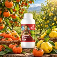 افزایش بیش از ۲۰۰ کیلو از هر درخت خرمالو/فروت ست
